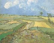 Wheat Fields at Auvers under Clouded Sky (nn04) Vincent Van Gogh